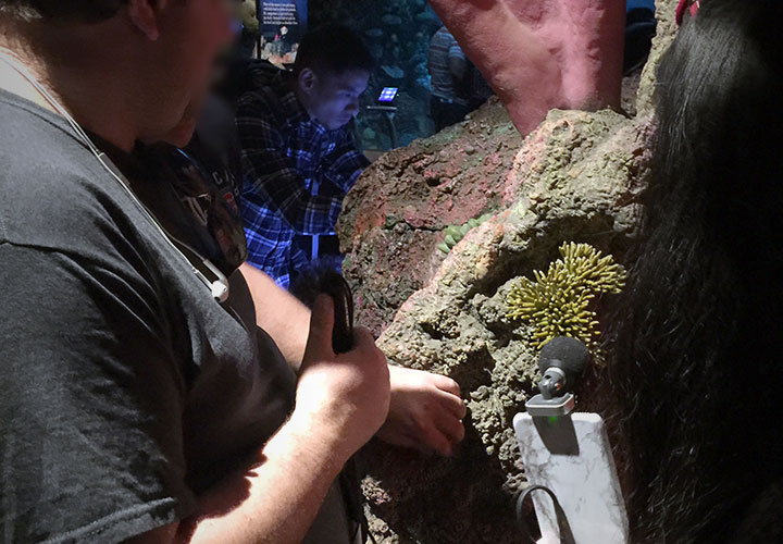 Image of a man who is visually impared touching a tactile reef exhibit