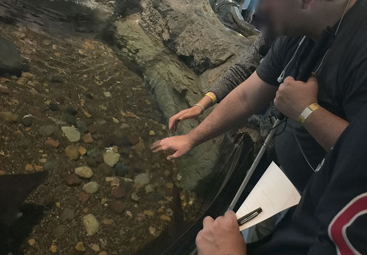 Image of a man who is visually impared interacting with the touch pool exhibit