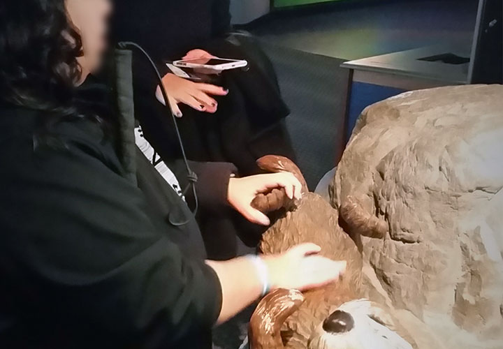 Image of participant who is visually impared touching a tactile exhibit at the Shedd Aquarium