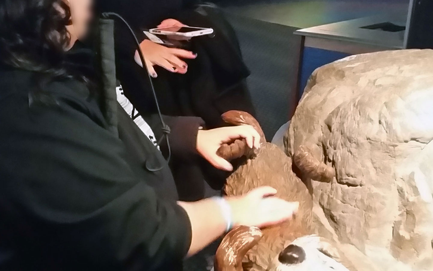 Image of participant who is visually impared touching a tactile exhibit at the Shedd Aquarium